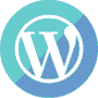 WordPress Theme and Plugin Detector